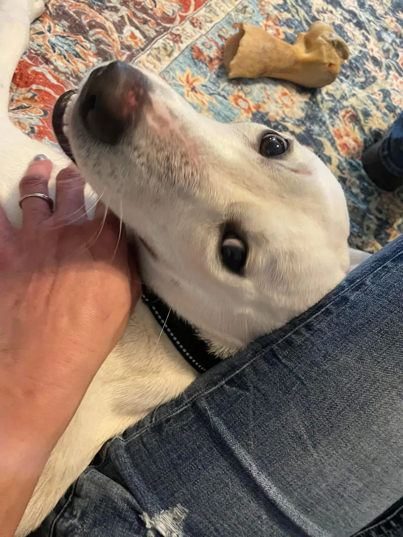 Snow White thumbnail 3