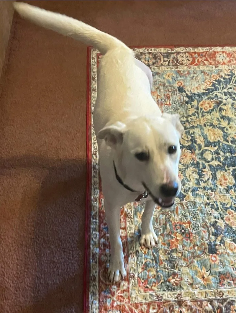 Snow White thumbnail 4