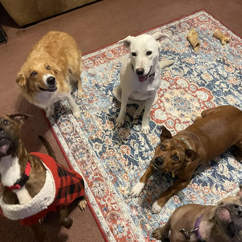 Snow White thumbnail 5