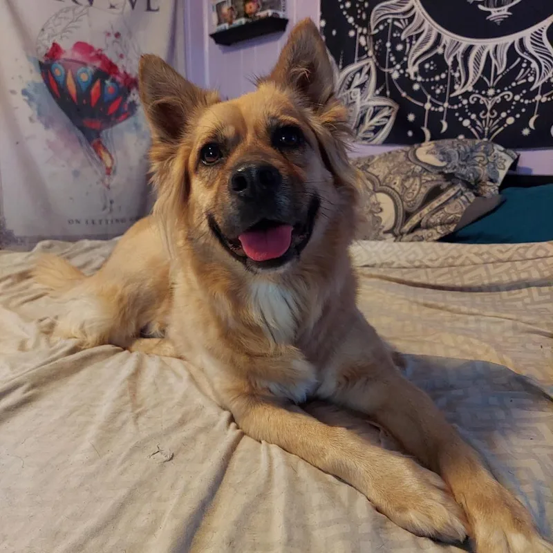 Chloe Jum thumbnail 2