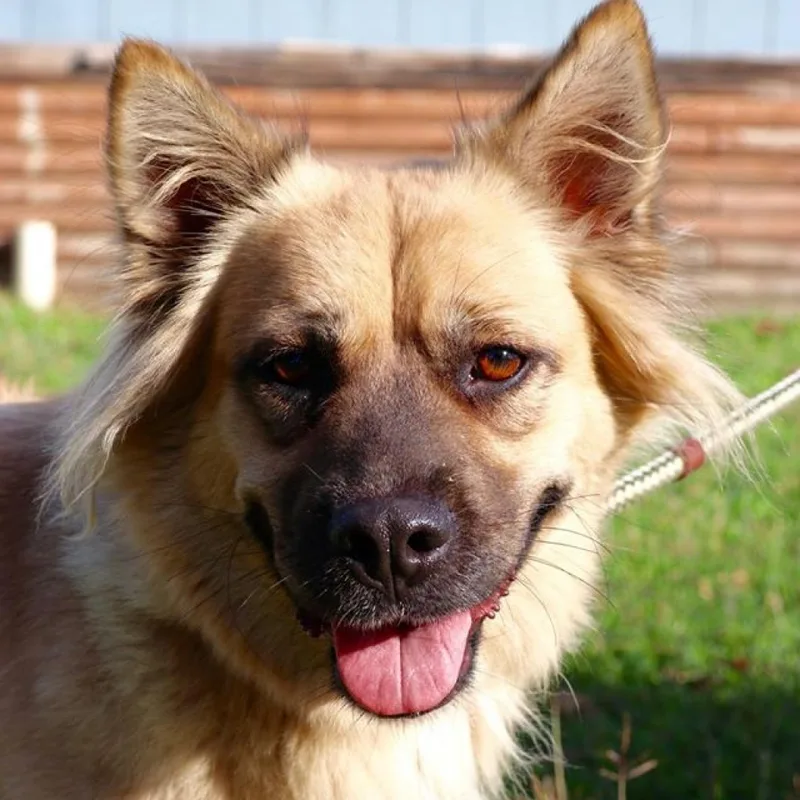 Chloe Jum thumbnail 3