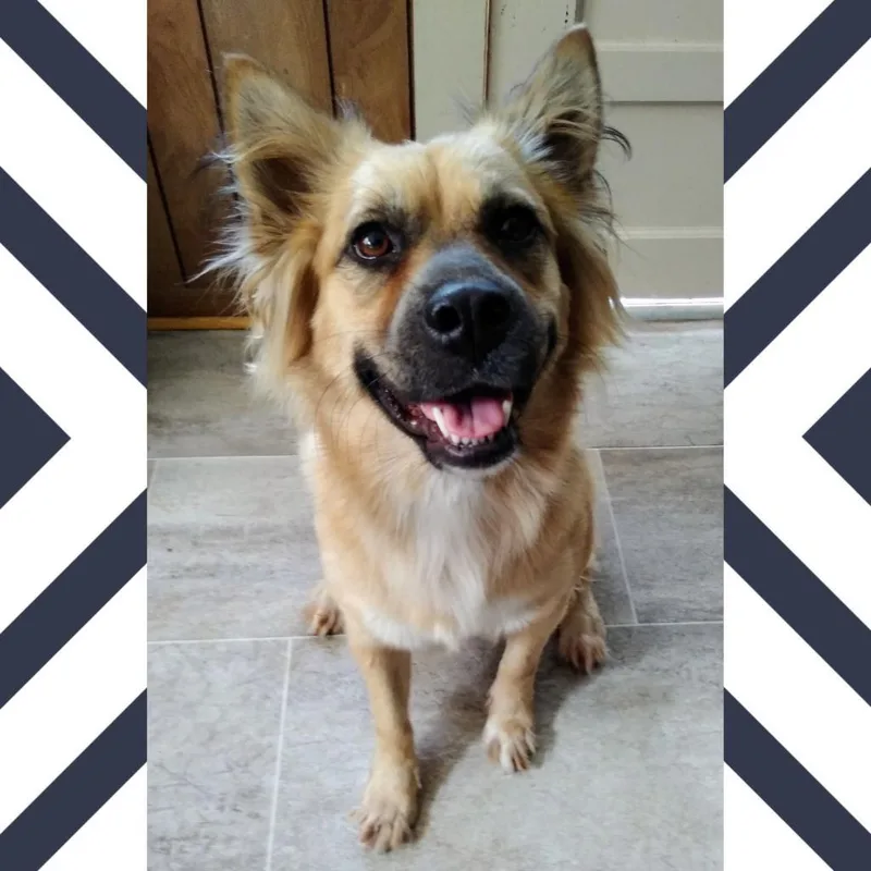 Chloe Jum thumbnail 6