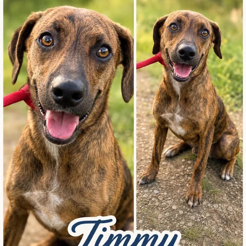 Timmy thumbnail 5