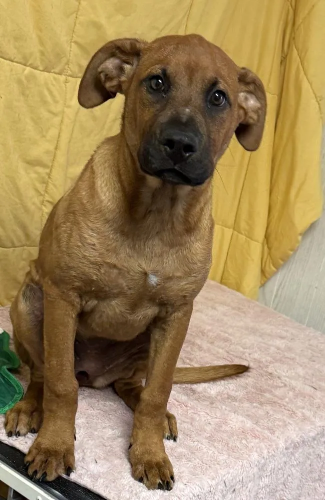 Wednesday thumbnail 2