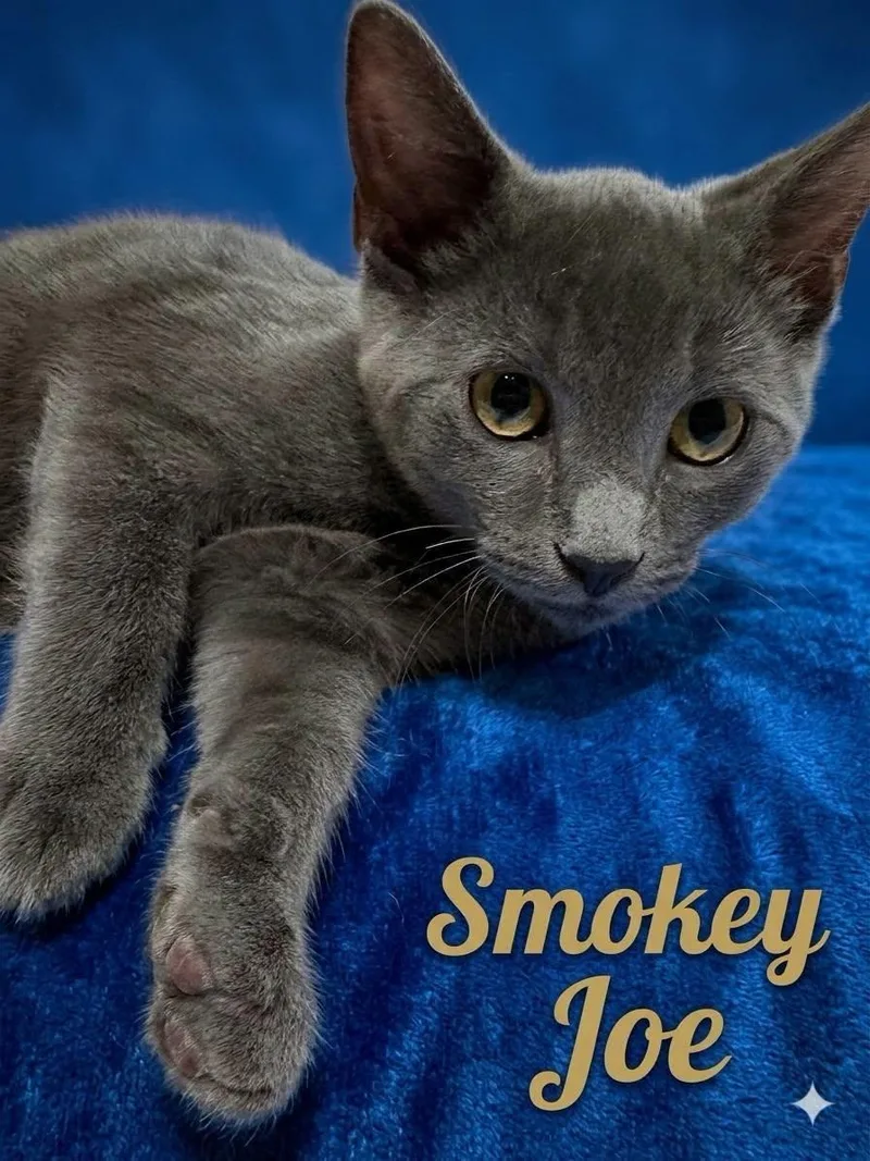 Smokey Joe & Moe