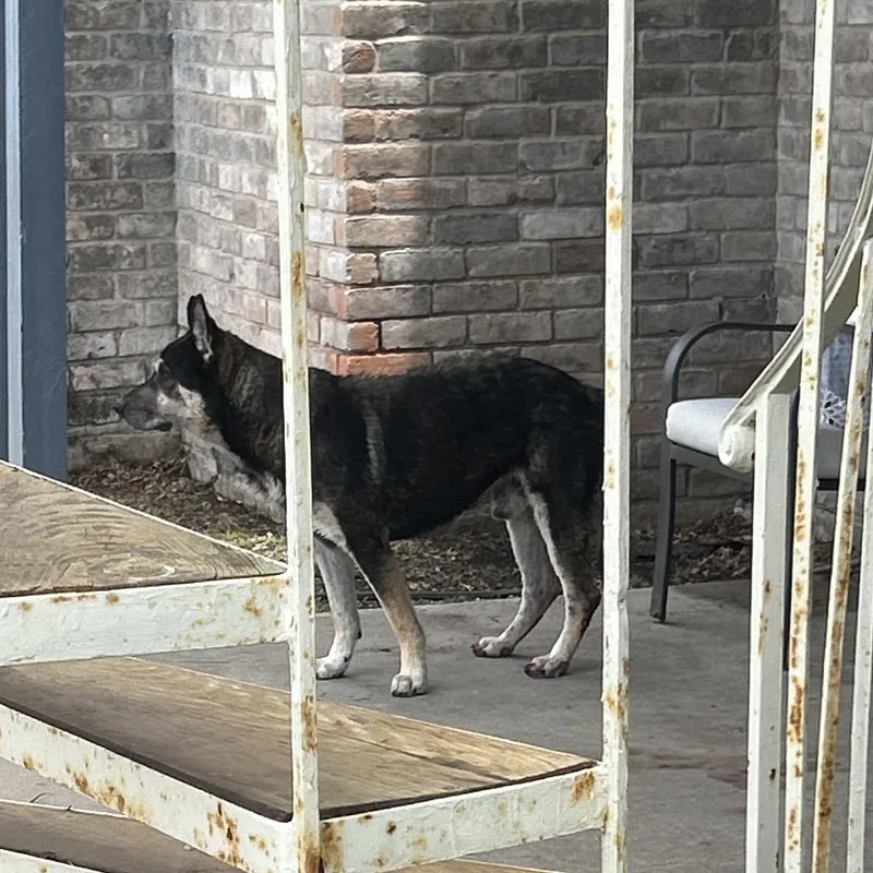 Txacstray
