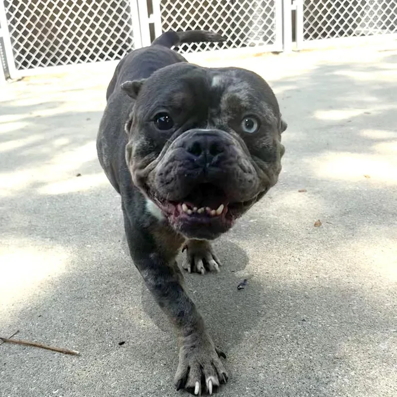 Lola thumbnail 2
