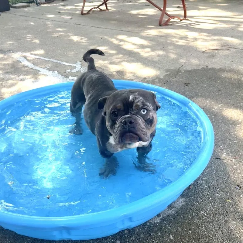 Lola thumbnail 3