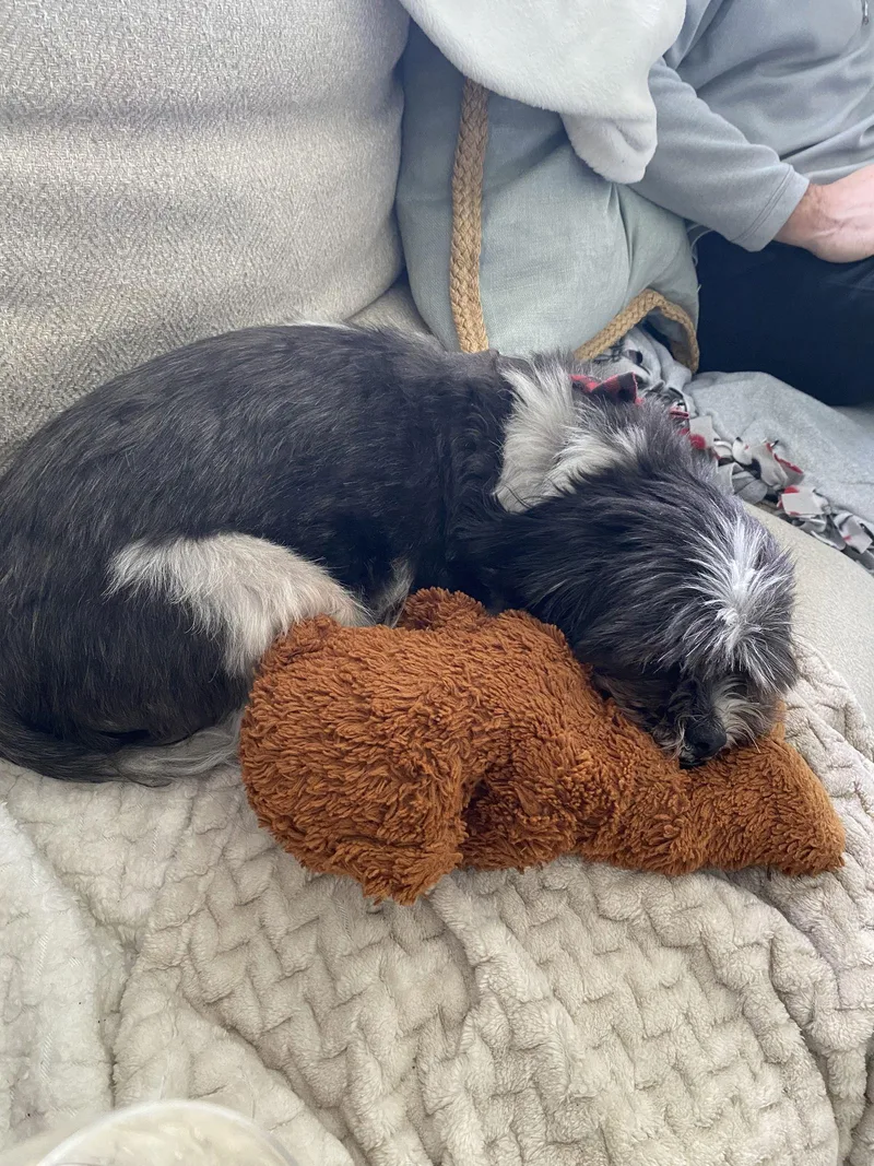 Georgeos thumbnail 2