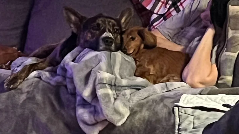 Willie Joe thumbnail 2