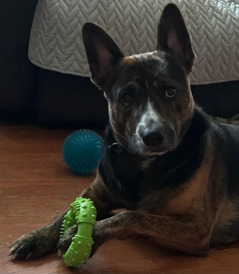 Willie Joe thumbnail 3