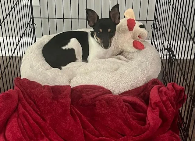 Oscar