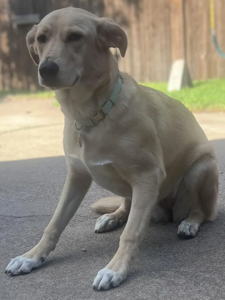 Penny thumbnail 2