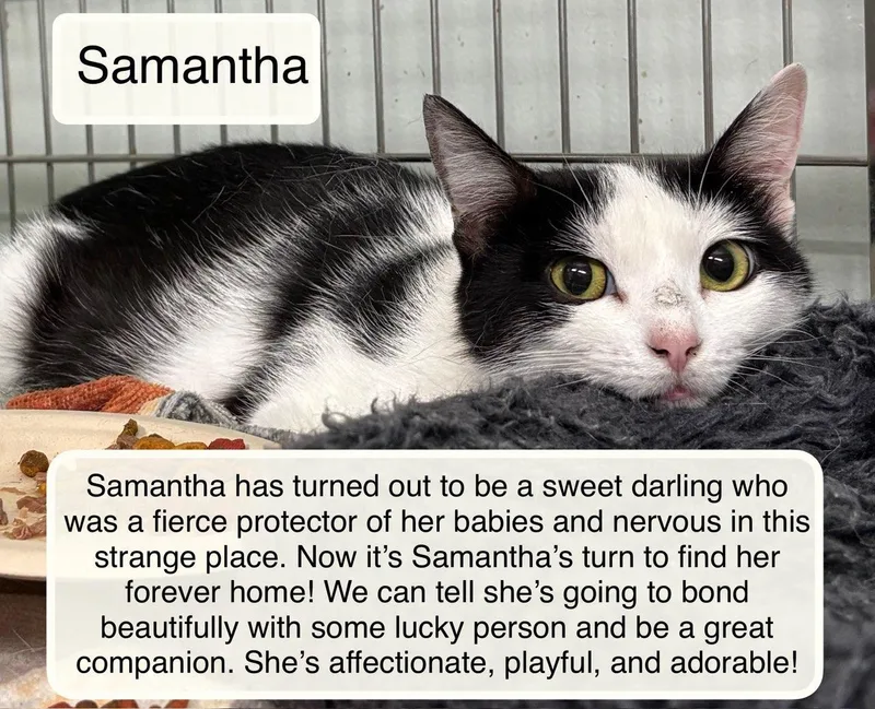 Samantha thumbnail 2
