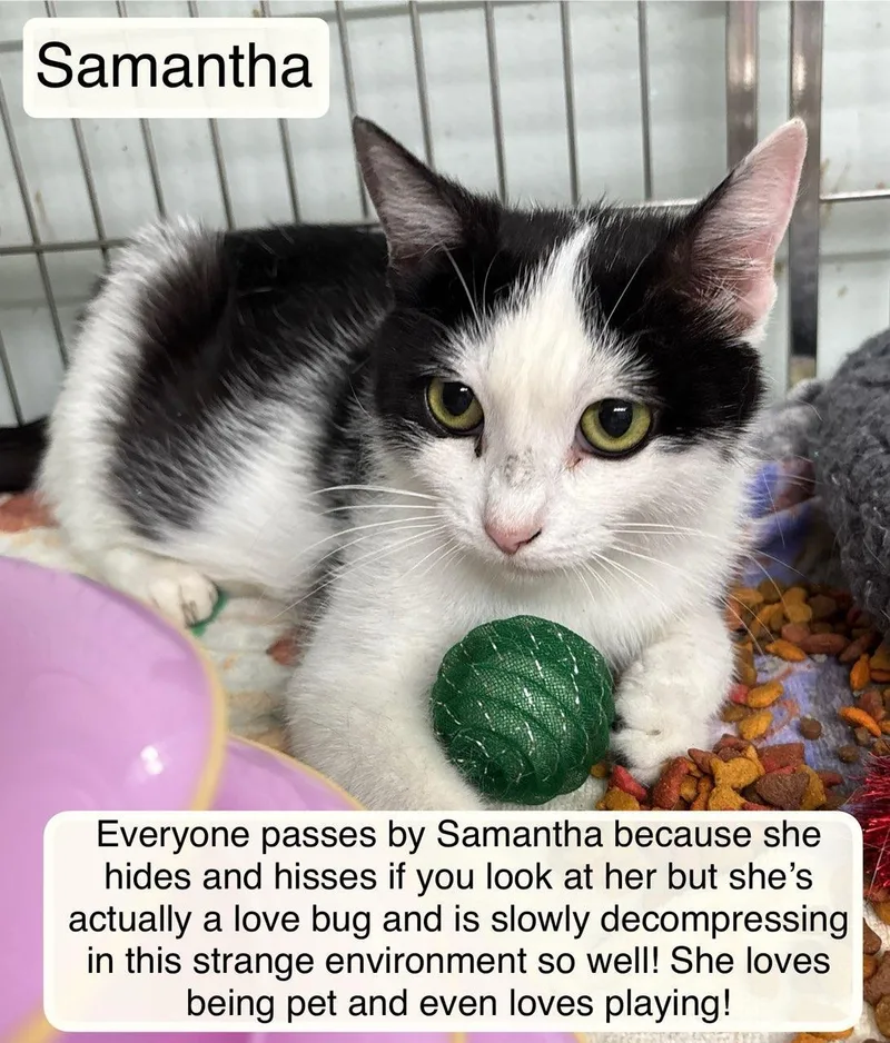 Samantha thumbnail 3