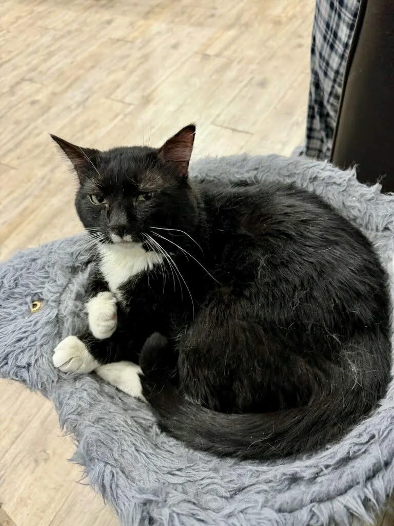 Charming thumbnail 2