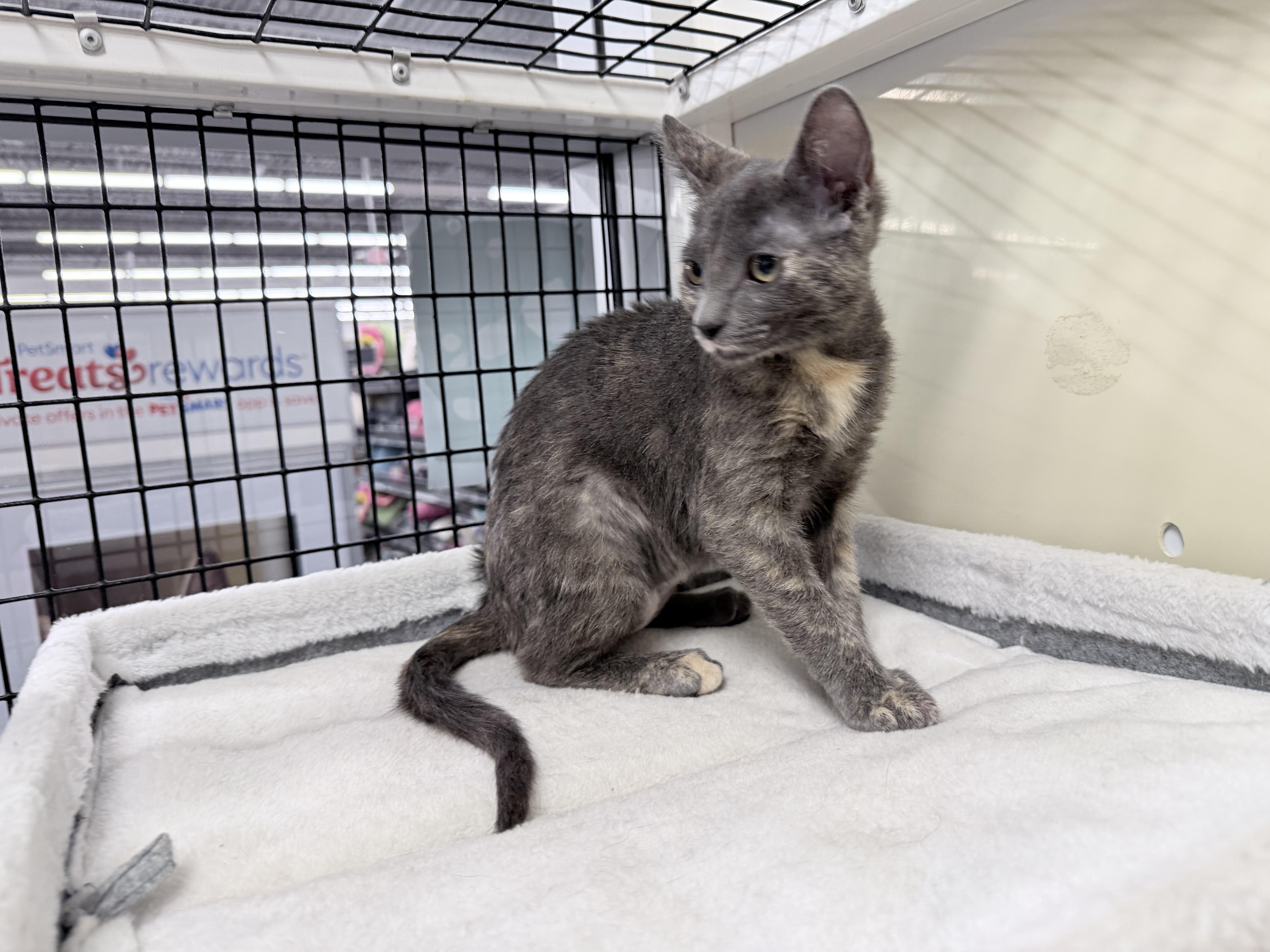 Crystal  Riley Fuzzel thumbnail 3