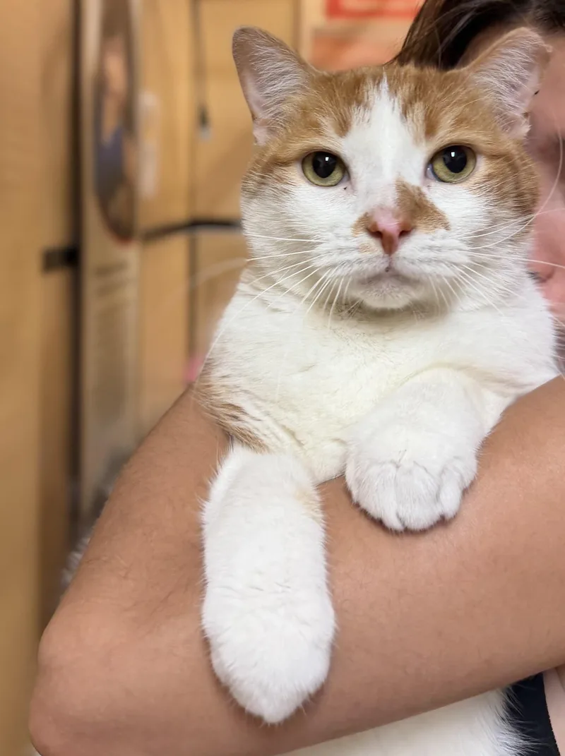 Otis & Milo thumbnail 3
