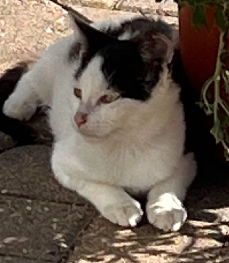 Charlotte thumbnail 2