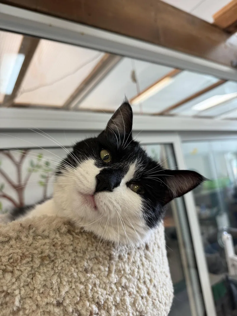 Ziggurat thumbnail 2