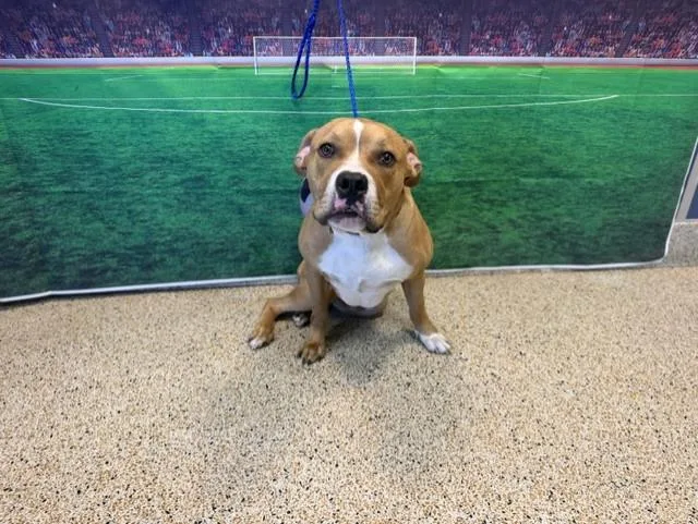 Max