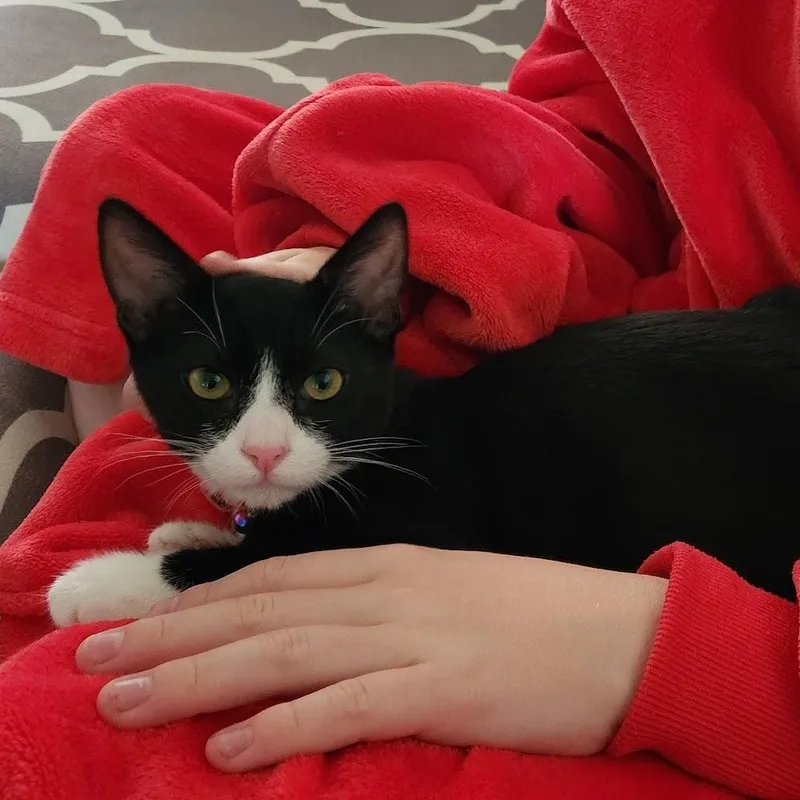 Pepper thumbnail 4