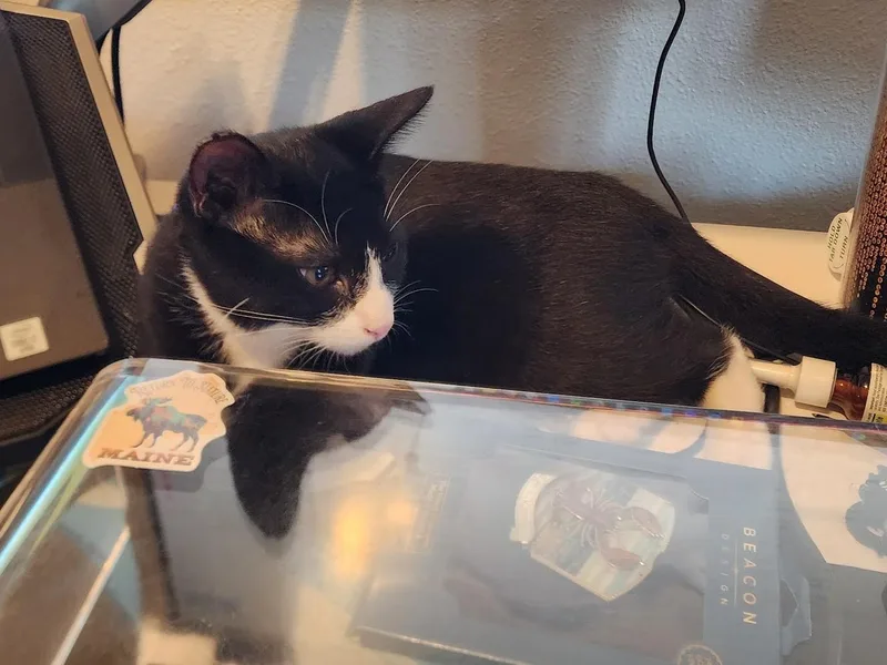 Pepper thumbnail 6