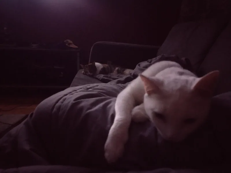 Kat thumbnail 2