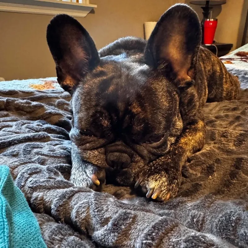 Maggie thumbnail 4