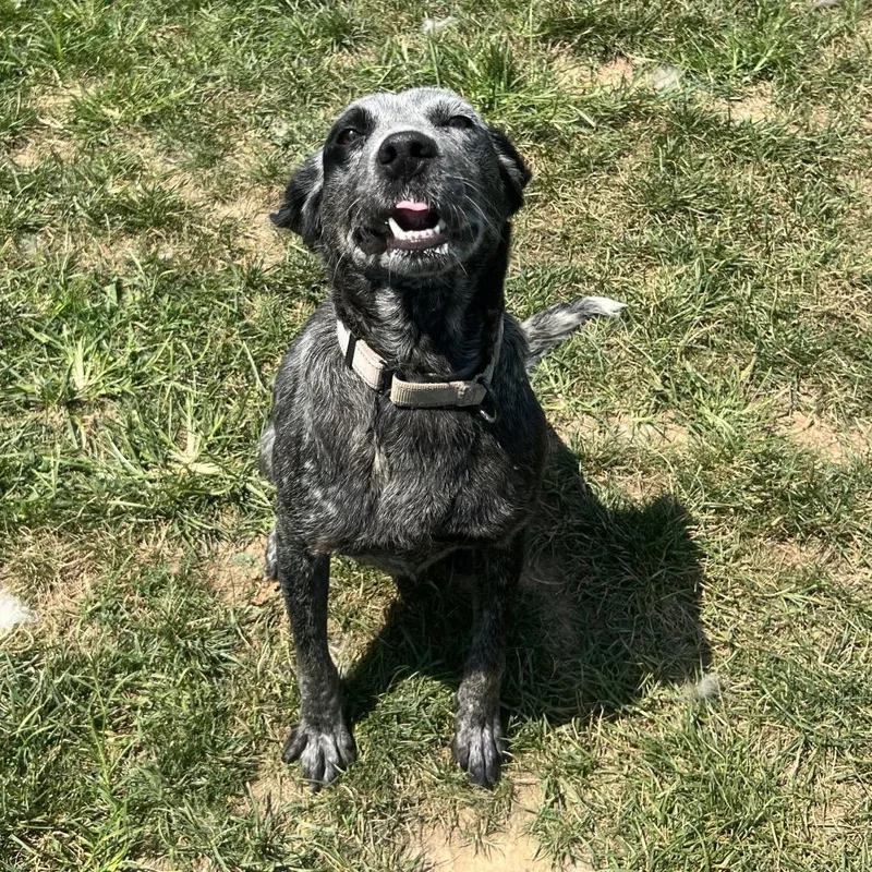 Luna thumbnail 4