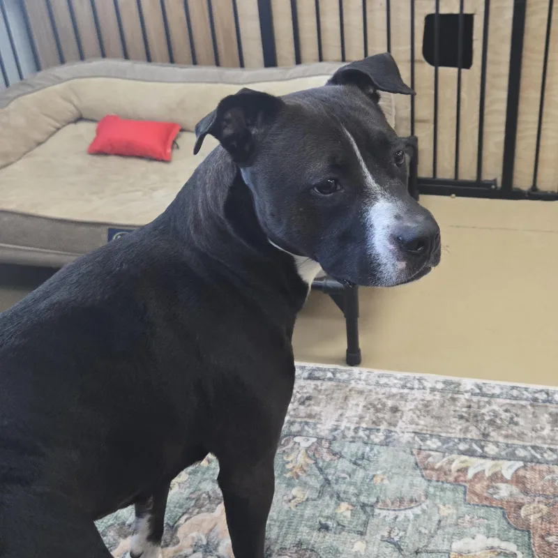 Princess thumbnail 3