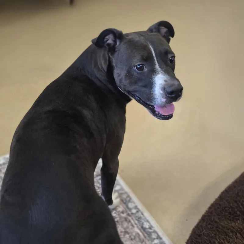 Princess thumbnail 4