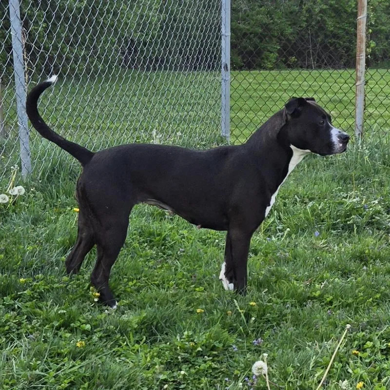 Princess thumbnail 6