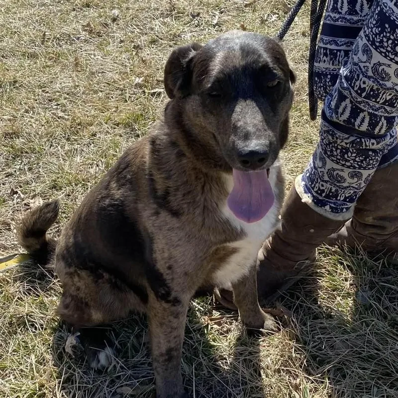 Speckles thumbnail 4