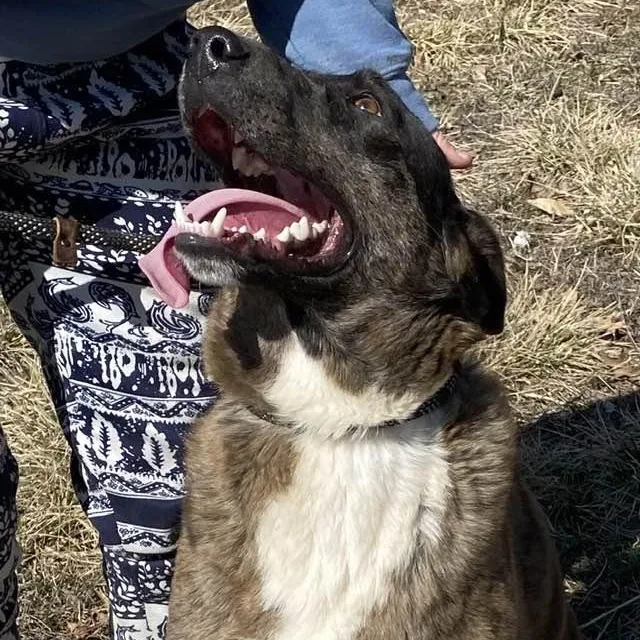 Speckles thumbnail 5