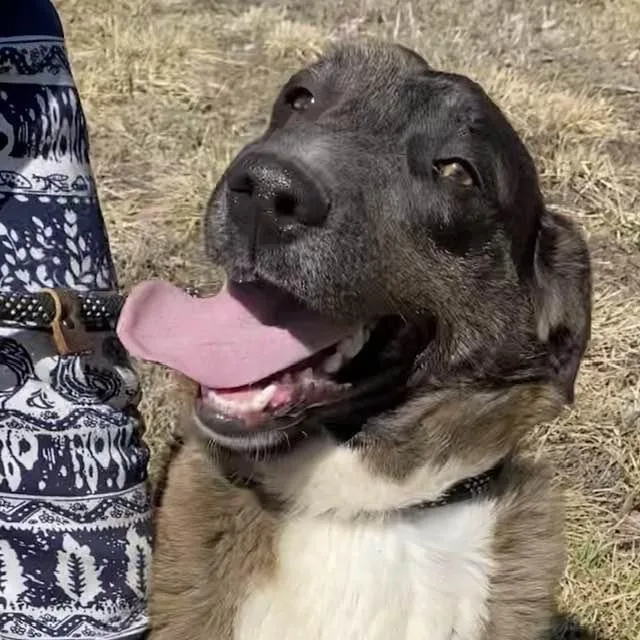 Speckles thumbnail 6