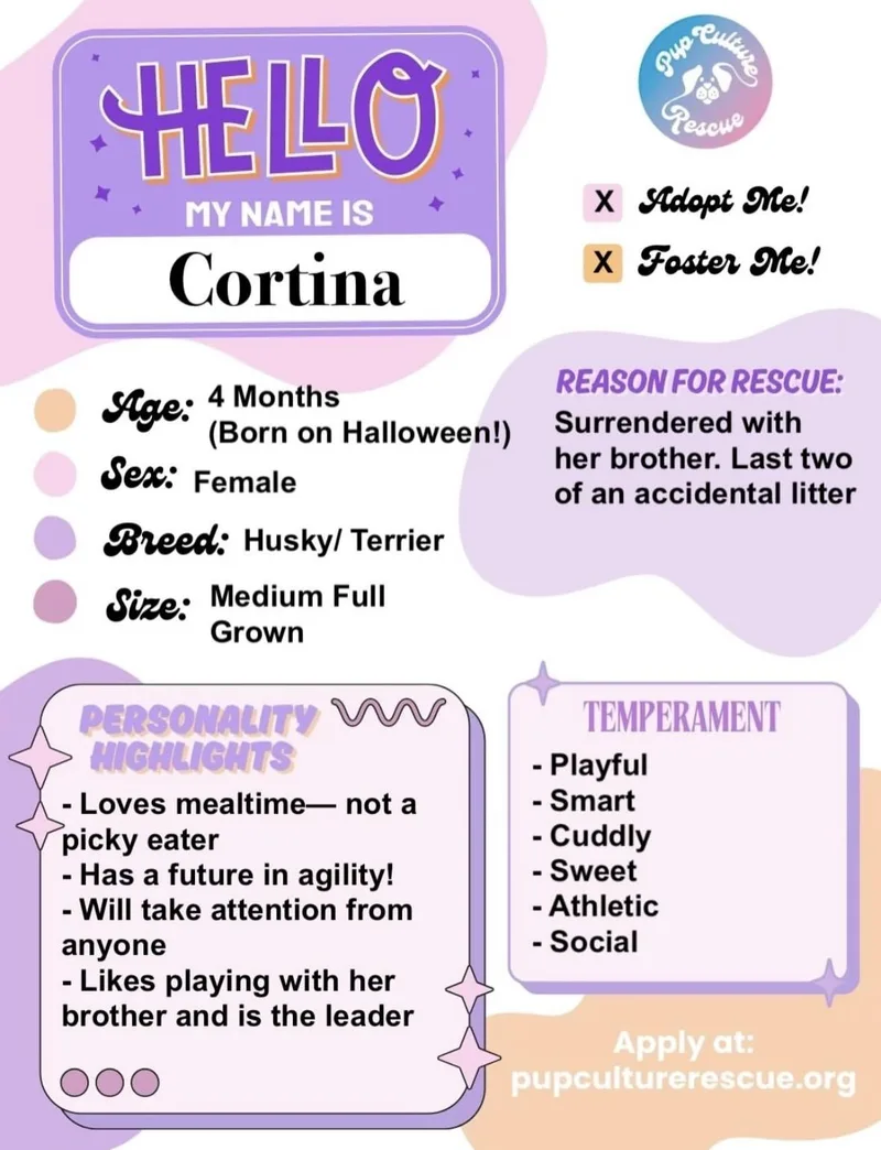 Cortina thumbnail 2