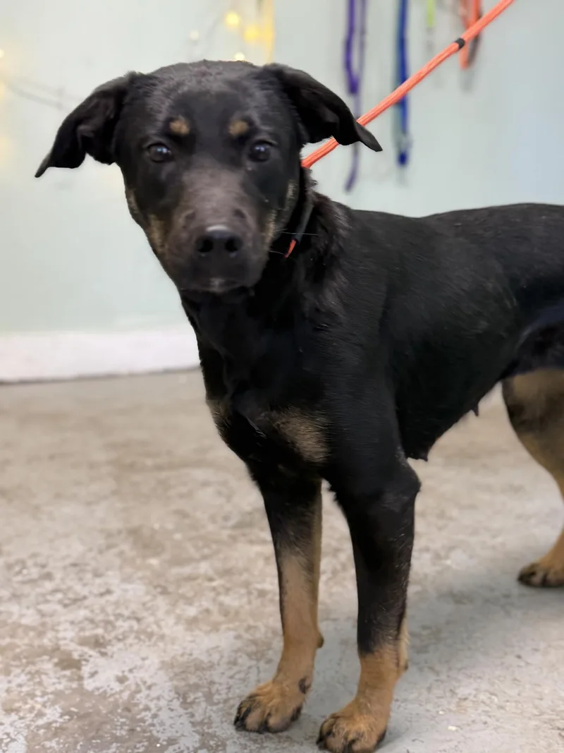 Sparkles thumbnail 2