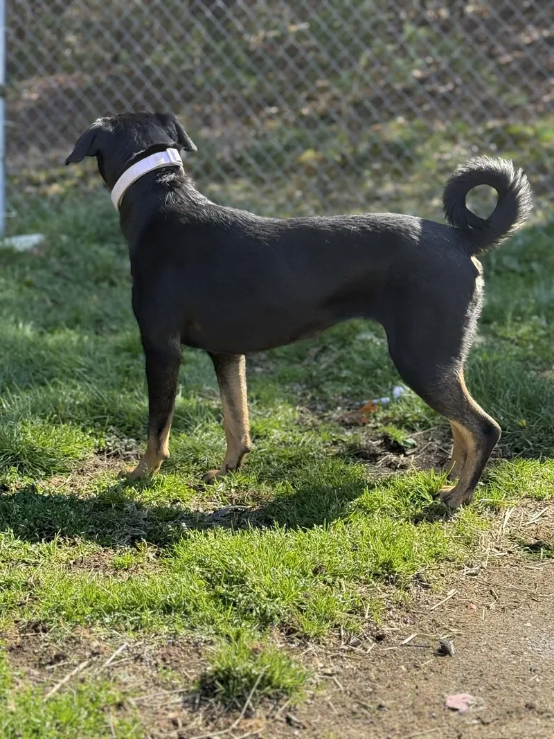 Sparkles thumbnail 3