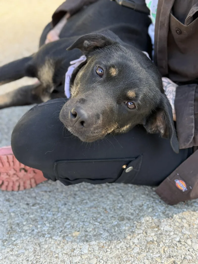 Sparkles thumbnail 4