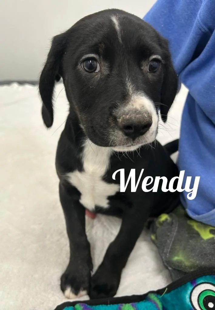 Wendy