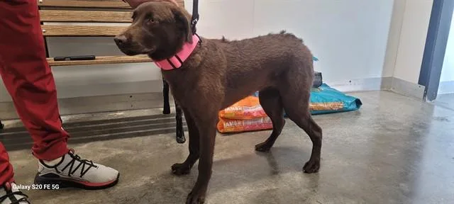 Kita