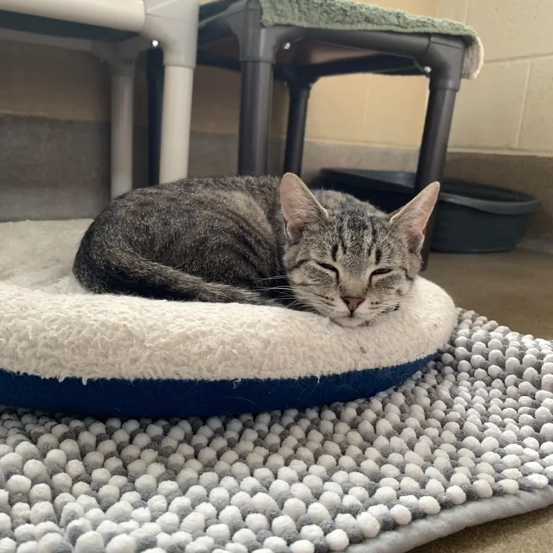 Sunshine thumbnail 2