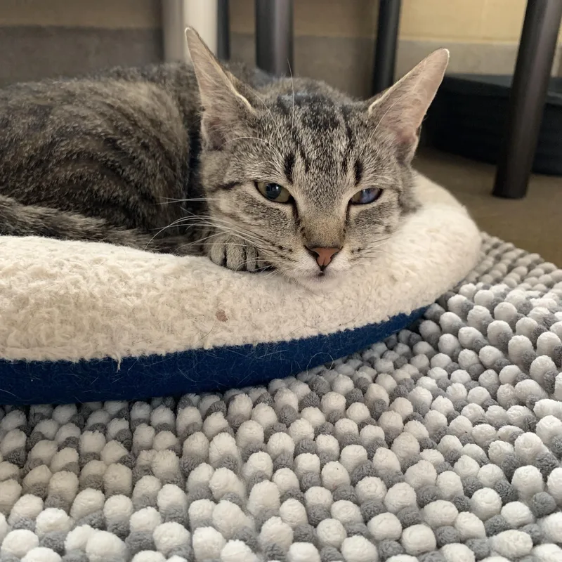 Sunshine thumbnail 3