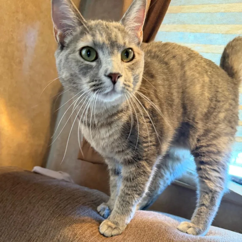 Loretta