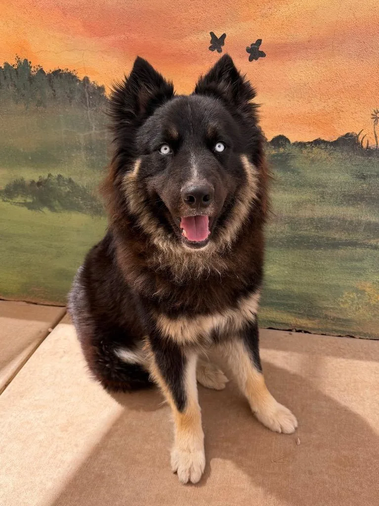 Luka