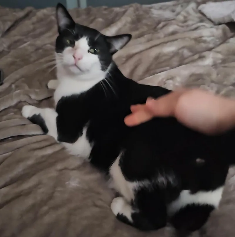 Georgie thumbnail 8