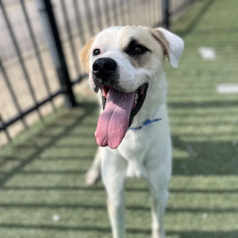 Melvn Hayes thumbnail 2