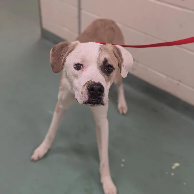 Melvn Hayes thumbnail 3