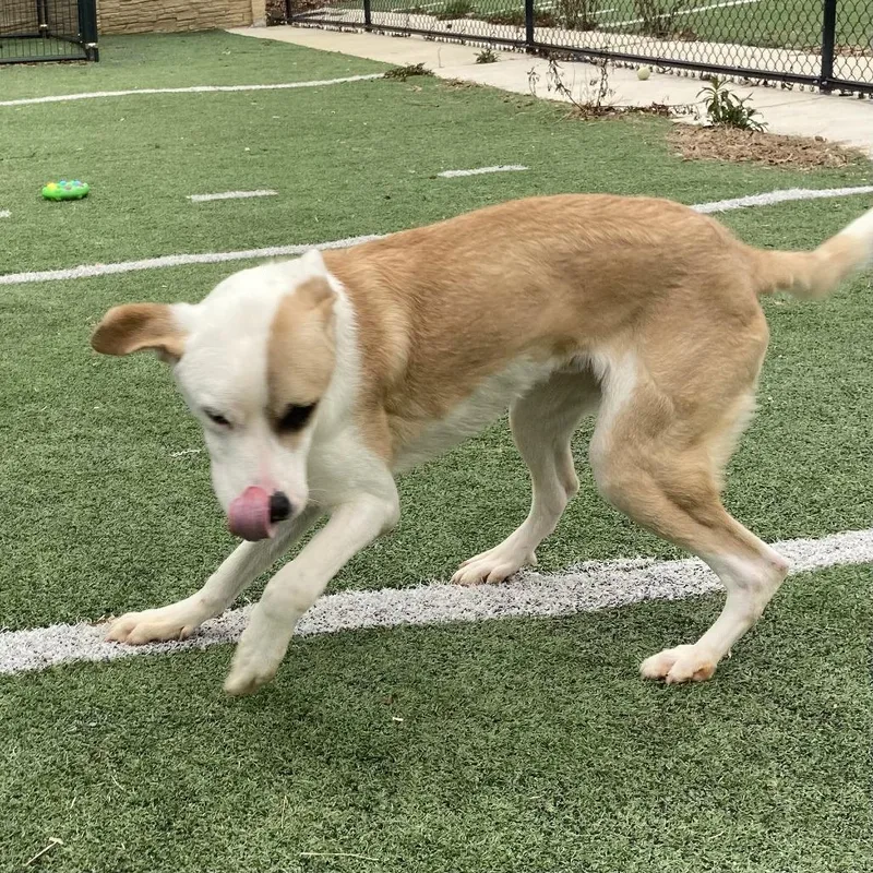 Melvn Hayes thumbnail 4